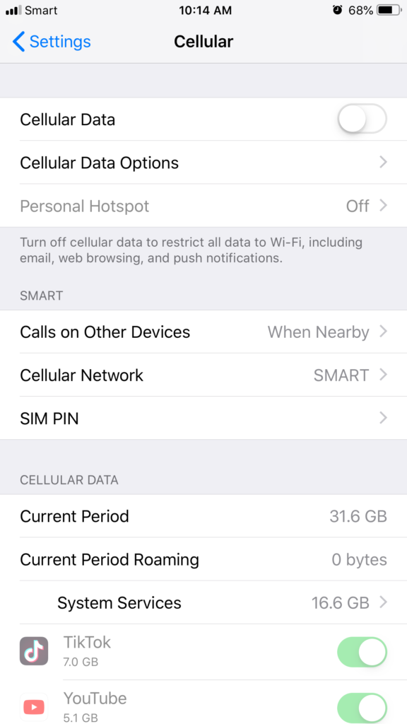 Step 4: Fix iPhone apps cannot connect to internet on cellular data