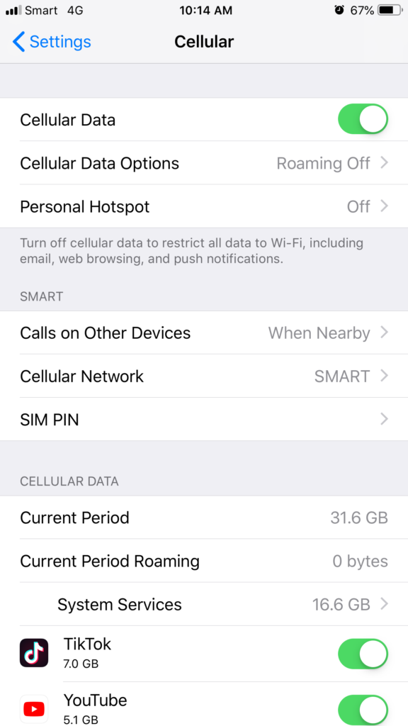 Step 5: Fix iPhone apps cannot connect to internet on cellular data